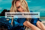 程序员有哪些接单网站（程序员有哪些接单网站可以做）