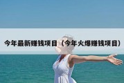 今年最新赚钱项目（今年火爆赚钱项目）