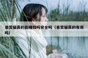 悬赏猫真的能赚钱吗安全吗（悬赏猫真的有用吗）