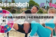 小红书最火动态壁纸（小红书动态壁纸我的世界）