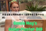 抖音运营公司排名前十（运营说白了是干什么的）