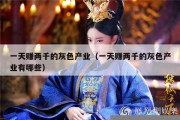 一天赚两千的灰色产业（一天赚两千的灰色产业有哪些）
