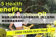 微信网上赚钱月入过万是真的吗（网上流传的微信赚钱是真的吗）