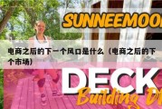电商之后的下一个风口是什么（电商之后的下个市场）