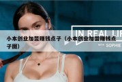 小本创业加盟赚钱点子（小本创业加盟赚钱点子图）