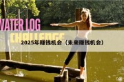 2025年赚钱机会（未来赚钱机会）
