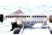 农业创业项目农村致富项目（农业类创业项目）