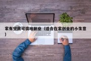 家有空房可搞啥副业（适合在家创业的小生意）