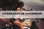大学生赚钱小项目怎么做（大学生赚钱的项目）