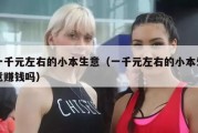 一千元左右的小本生意（一千元左右的小本生意赚钱吗）